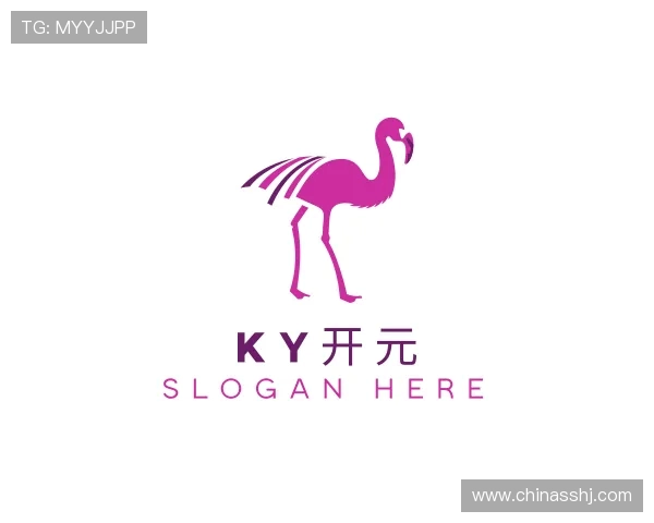 了解KY开元官网
